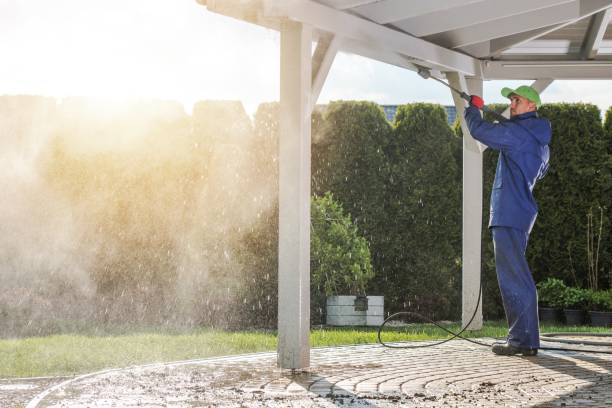 Best Fence Cleaning  in Butler, IN